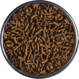 Terc-butilhidroquinona (TBHQ)