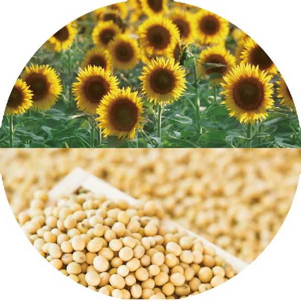 Brainefit&trade; Fosfatidilserina (PS)