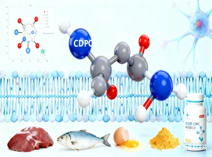 【Serie 4 de ingredientes para la salud cerebral】 Citicolina (CDPC): El "precursor fosfol&iacute;pido" para la reparaci&oacute;n neural