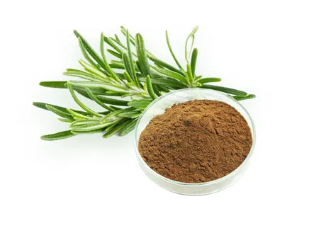 【Serie de antioxidantes alimentarios 1】 Una soluci&oacute;n antioxidante natural y eficiente | Extracto de romero